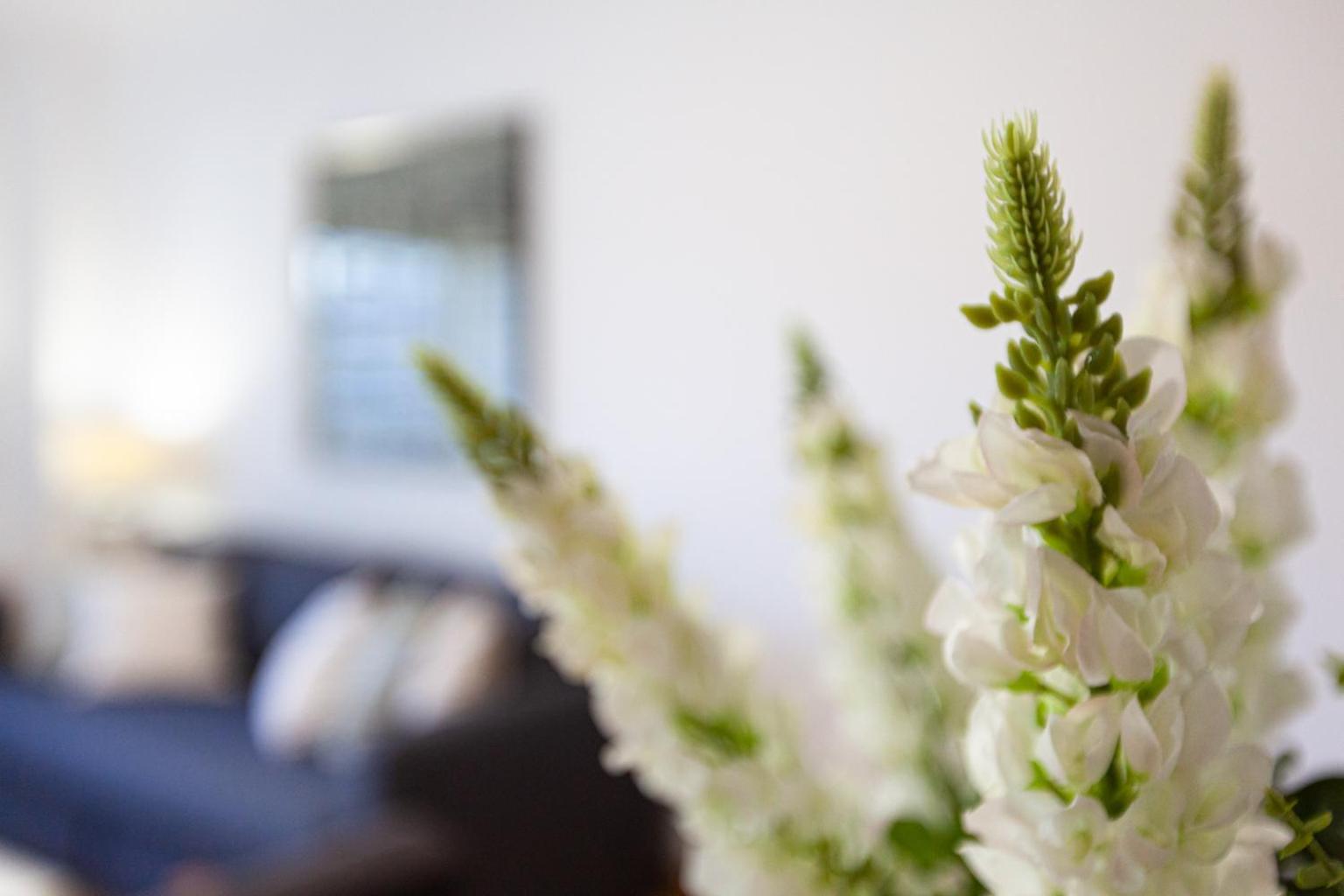 Apartamento Lisboa Sete Rios Exteriör bild